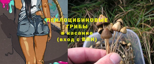 тгк Балахна